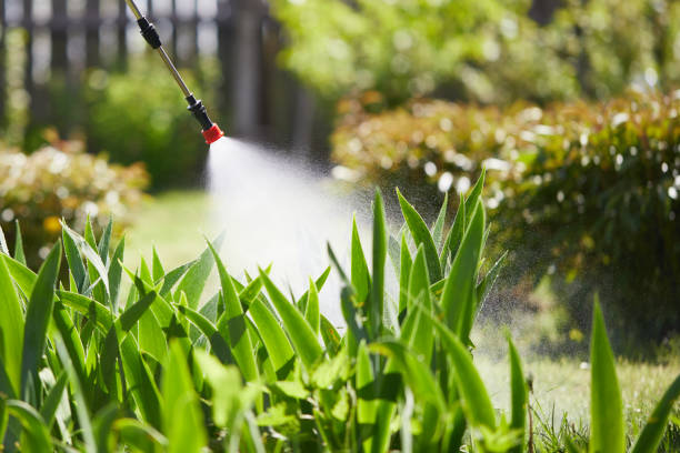 Tamper-Resistant Bait Stations for Rodents in Coalville