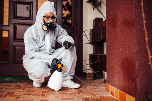 Attic and Crawl Space Rodent Treatment in Coalville